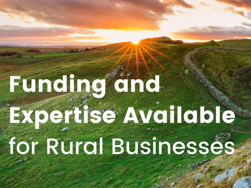 Part time finance director to help North East rural businesses